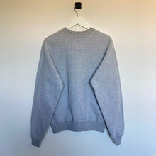 Charger l'image dans la galerie, Sweat Champion vintage university (S/M)