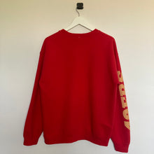 Charger l'image dans la galerie, Sweat San Francisco 49ers (M)
