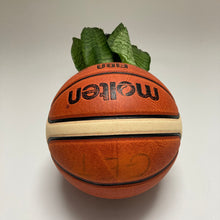 Charger l'image dans la galerie, pot-de-fleurs-ballon-de-basket-molten-plante-vase-basketball-planter