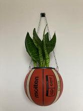 Charger l'image dans la galerie, pot-de-fleurs-ballon-de-basket-vase-basketball-planter-molten