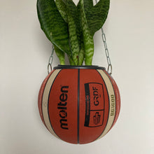 Charger l'image dans la galerie, pot-de-fleurs-ballon-de-basket-vase-basketball-planter-molten