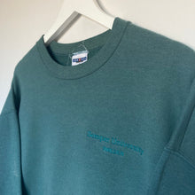 Charger l'image dans la galerie, Sweat vintage logo brodé university (M/L femme)