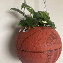 Charger l'image dans la galerie, vase-original-avec-un-ballon-de-basket-transforme-en-pot-de-fleurs-ou-cache-pot-décoration