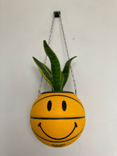 Charger l'image dans la galerie, ballon-de-basket-chinatown-market-decoration-plante
