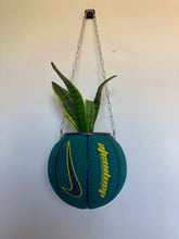 Charger l'image dans la galerie, ballon-de-basket-nike-plante-decoration-originale
