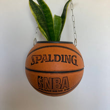 Charger l'image dans la galerie, ballon-de-basket-plante-decoration-originale
