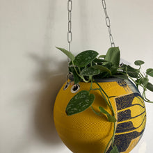 Charger l'image dans la galerie, ballon-de-basket-recycle-en-pot-de-fleurs-decoration-basketball-pacers
