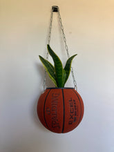 Charger l'image dans la galerie, ballon-de-basket-spalding-plante-decoration-originale
