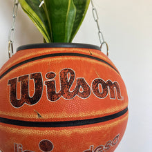 Charger l'image dans la galerie, ballon-de-basket-wilson-plante-decoration-originale
