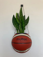 Charger l&#39;image dans la galerie, deco-chambre-basket-nba-ballon-de-basketball-planter-pot-de-fleurs-plante-molten
