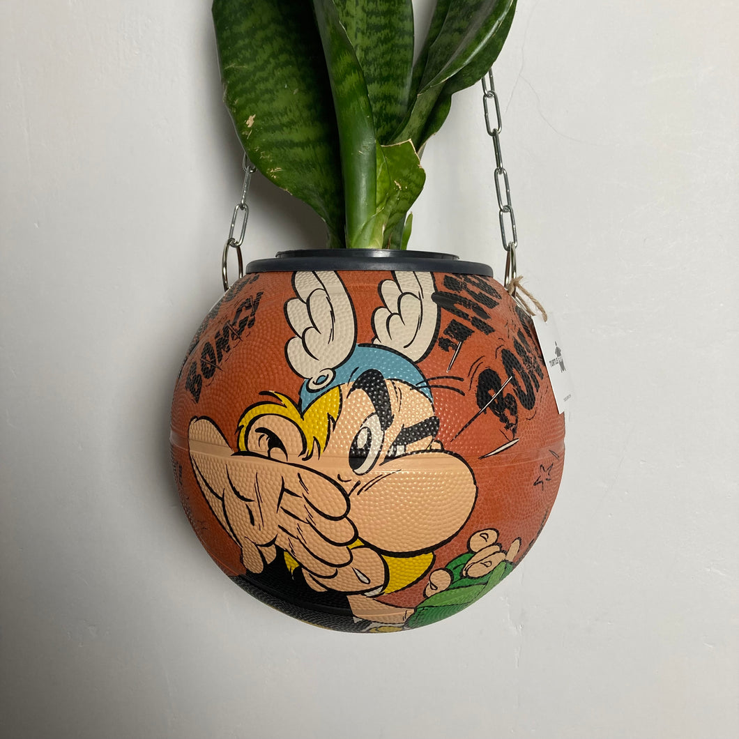 decoration-asterix-basket-ballon-de-basketball-planter-deco-pot-de-fleurs