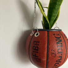 Charger l'image dans la galerie, decoration-basketball-ballon-de-basket-pot-de-fleurs-spalding

