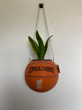 Charger l&#39;image dans la galerie, decoration-basketball-deco-nba-plante-ballon-basket-pot-de-fleurs-spalding
