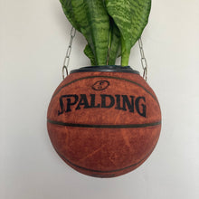 Charger l&#39;image dans la galerie, decoration-nba-ballon-de-basket-spalding-pot-de-fleur-basketball-planter

