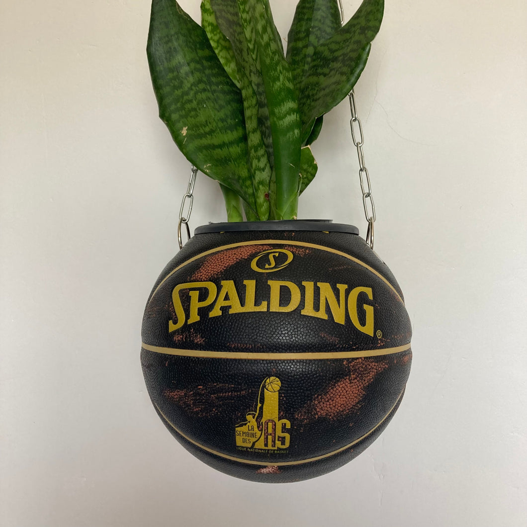      decoration-nba-sneakers-room-ballon-de-basketball-planter-pot-de-fleurs-spalding-vintage