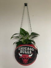 Charger l&#39;image dans la galerie, deco-basketball-plante-ballon-de-basket-recycle-chicago-bulls

