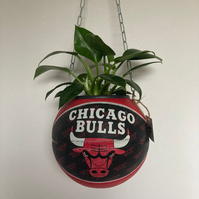 deco-basketball-plante-ballon-de-basket-recycle-chicago-bulls