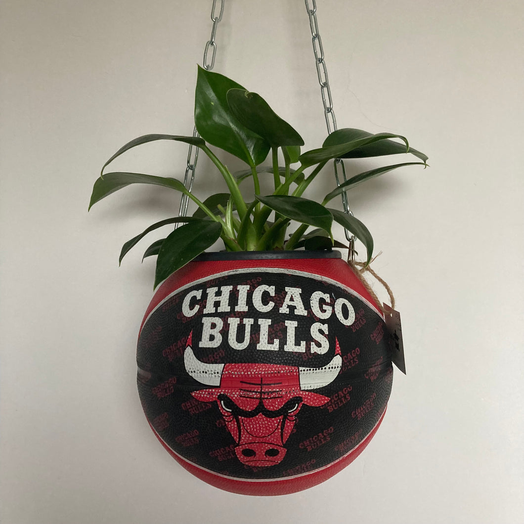deco-basketball-plante-ballon-de-basket-recycle-chicago-bulls