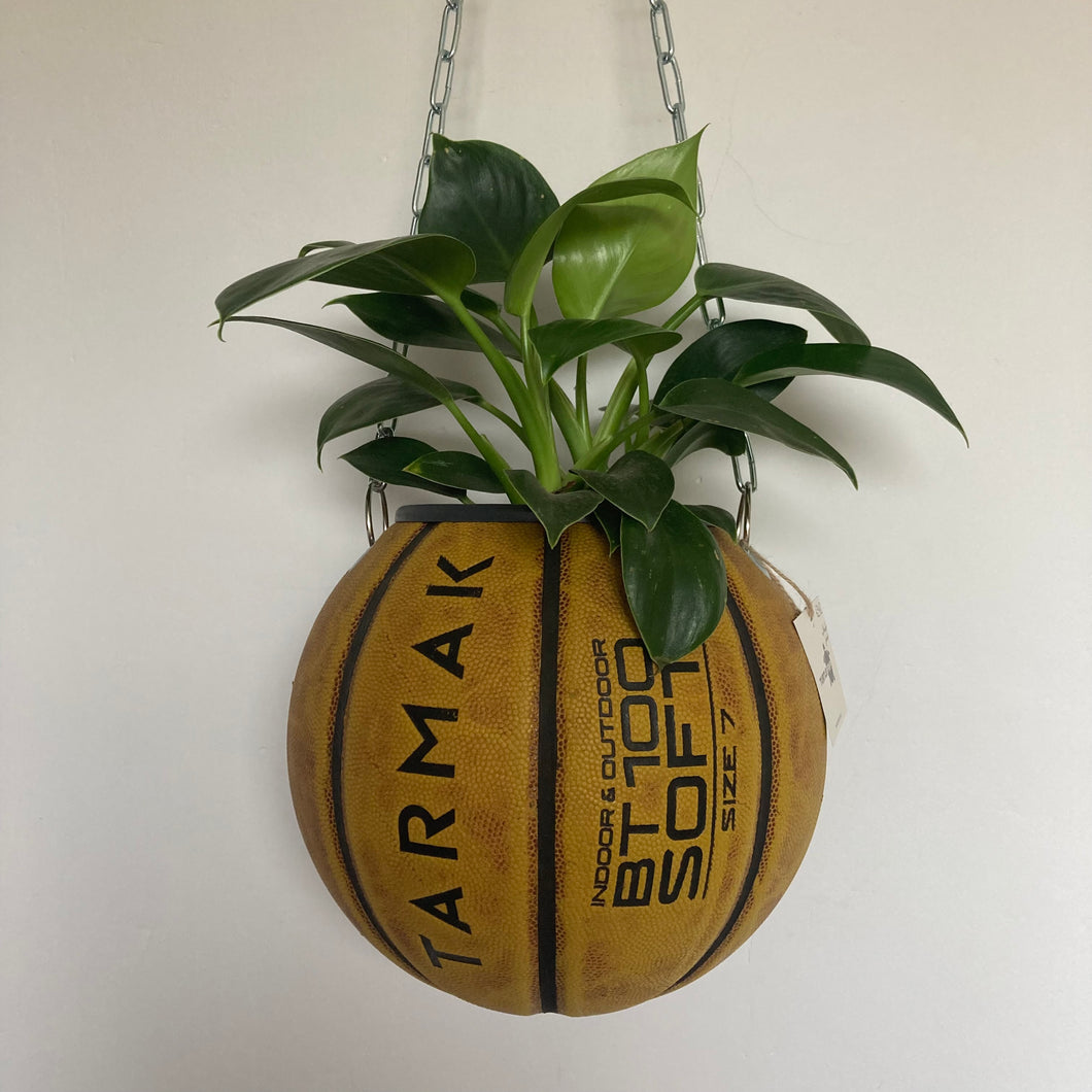 deco-basketball-plante-ballon-de-basket-recycle-tarmak