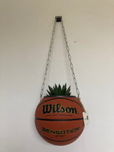 Charger l&#39;image dans la galerie, deco-basketball-plante-ballon-de-basket-wilson
