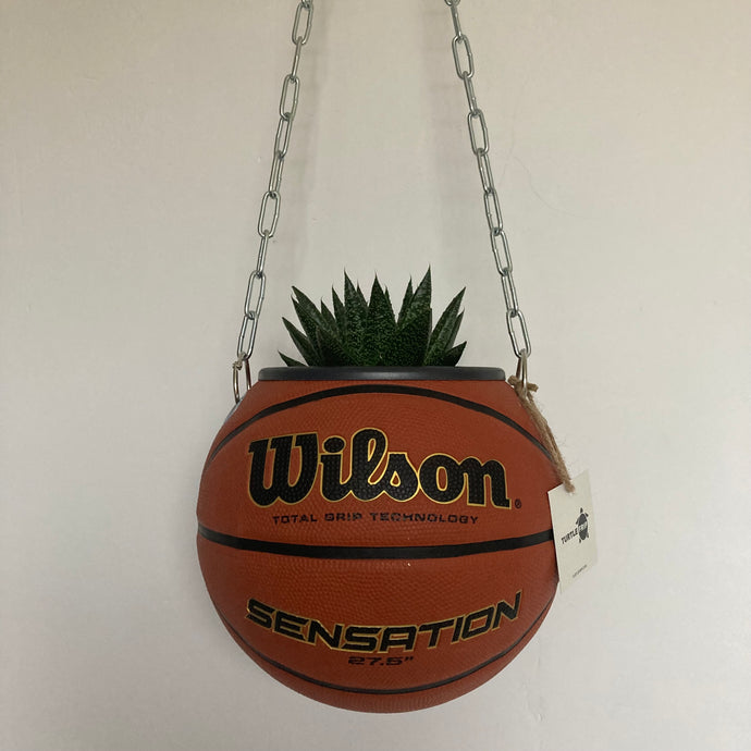 deco-basketball-plante-ballon-de-basket-wilson