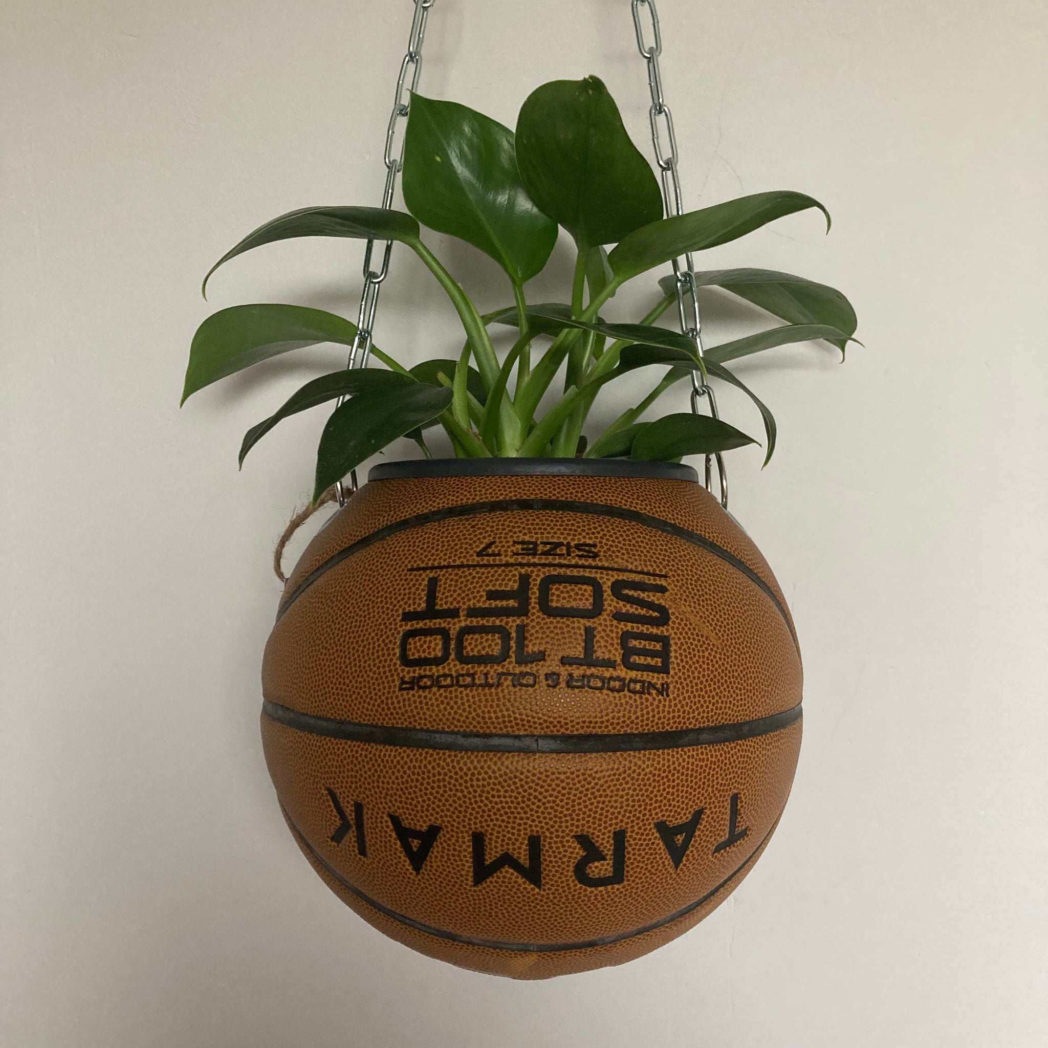 Idée Cadeau pour Basketteur et fan de NBA 2024 – Turtle Frip