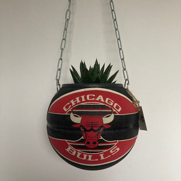     deco-basketball-vintage-plante-ballon-de-basket-chicago-bulls-nba