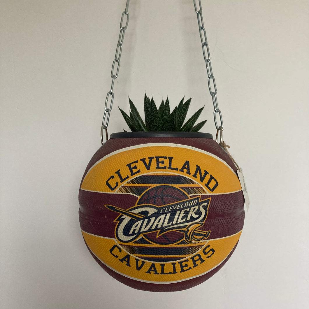 deco-basketball-vintage-plante-ballon-de-basket-cleveland-cavaliers-nba