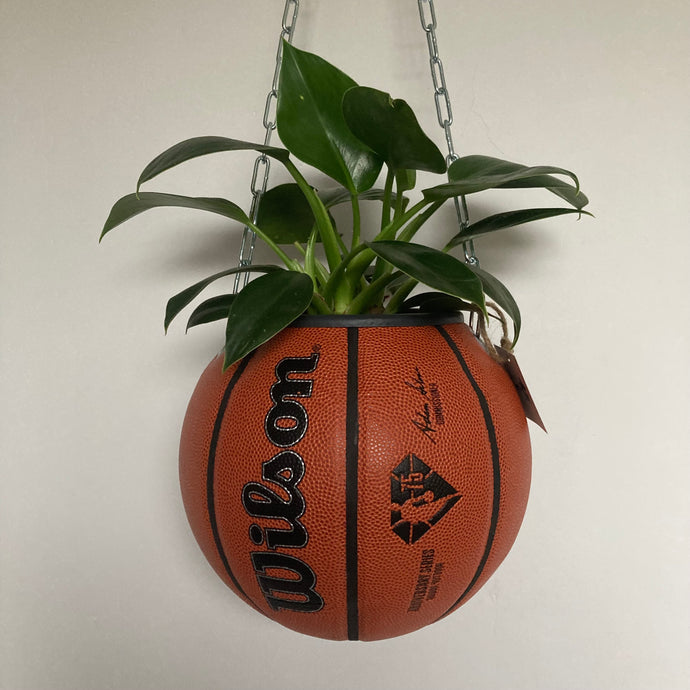 deco-basketball-vintage-plante-ballon-de-basket-recycle-wilson