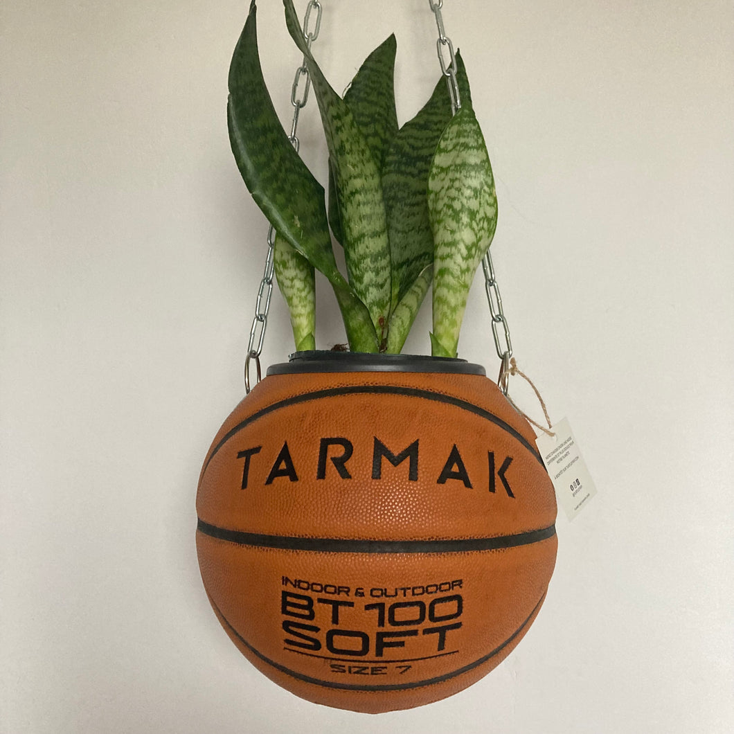 deco-basketball-vintage-plante-ballon-de-basket-recycle-tarmak