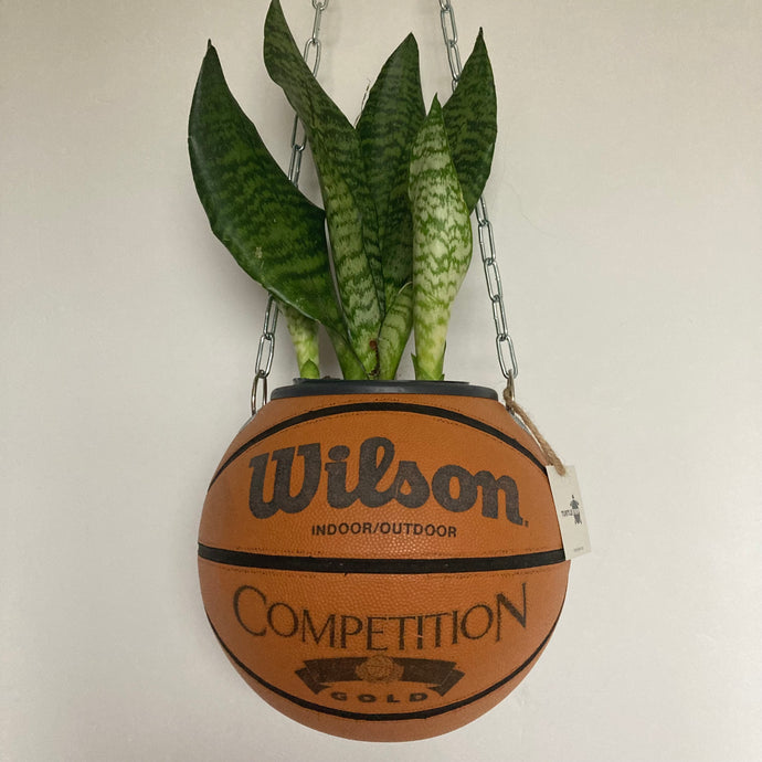 deco-basketball-vintage-plante-ballon-de-basket-wilson