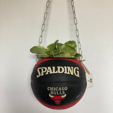 Charger l&#39;image dans la galerie,     decoration-ballon-de-basket--vintage-transforme-en-pot-de-fleurs-chicago-bulls
