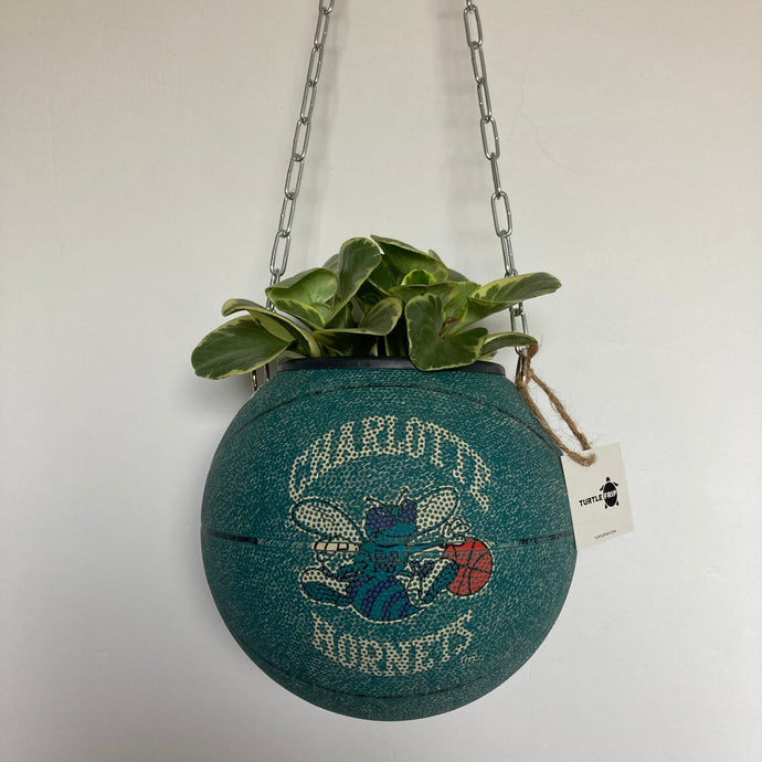 decoration-ballon-de-basket--vintage-transforme-en-pot-de-fleurs-hornets