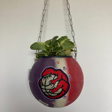 Charger l&#39;image dans la galerie, decoration-ballon-de-basket--vintage-transforme-en-pot-de-fleurs-raptors
