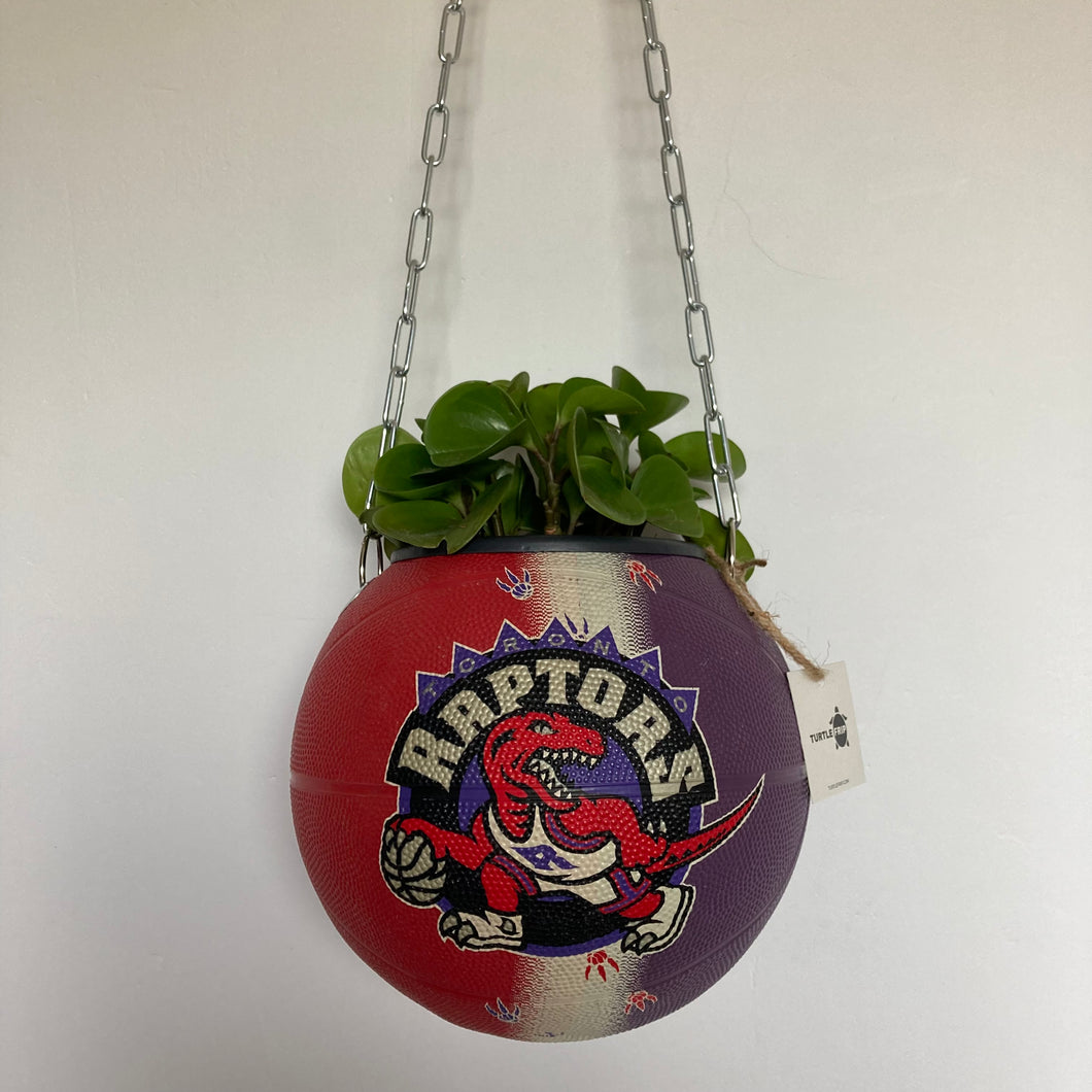 decoration-ballon-de-basket--vintage-transforme-en-pot-de-fleurs-raptors