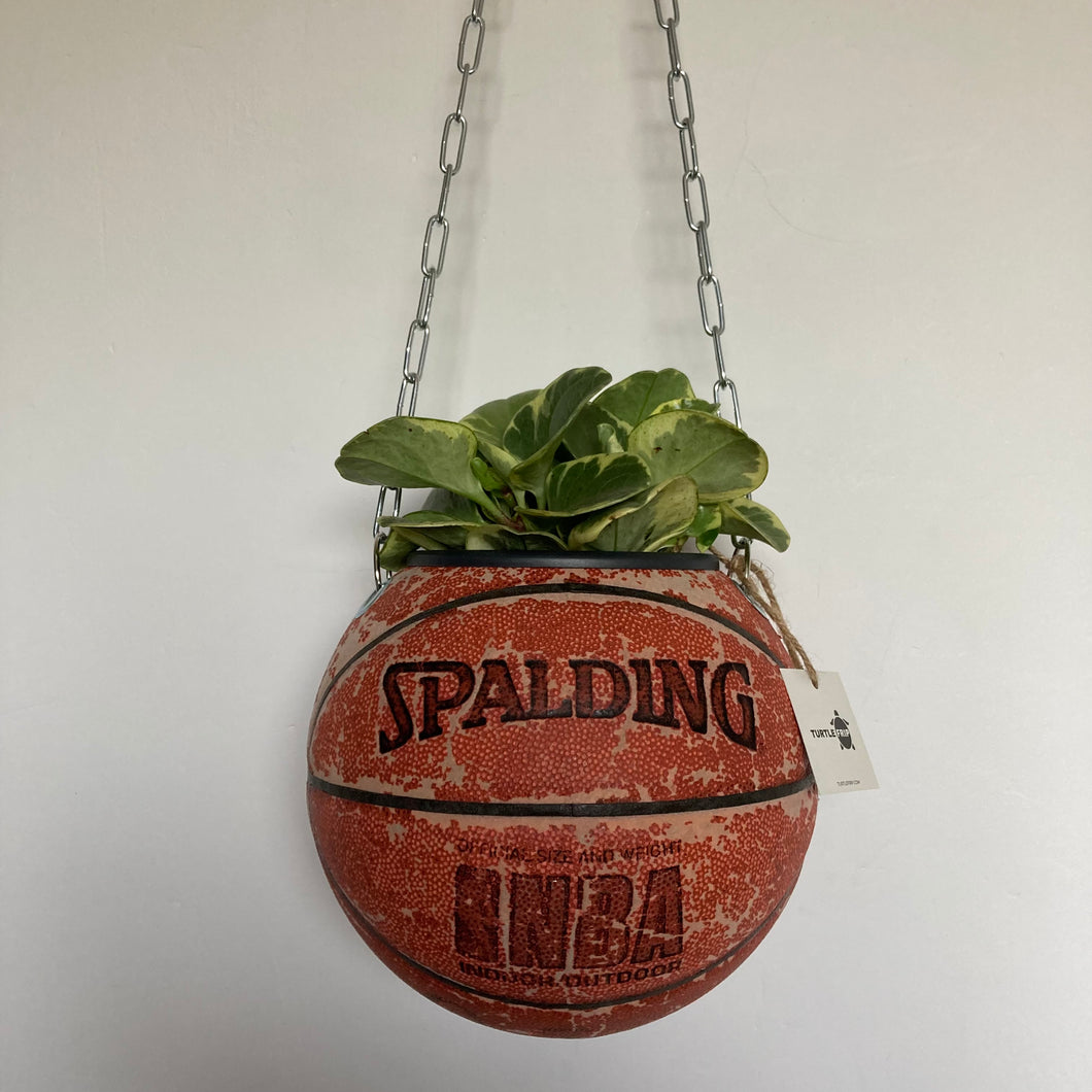 decoration-ballon-de-basket--vintage-transforme-en-pot-de-fleurs