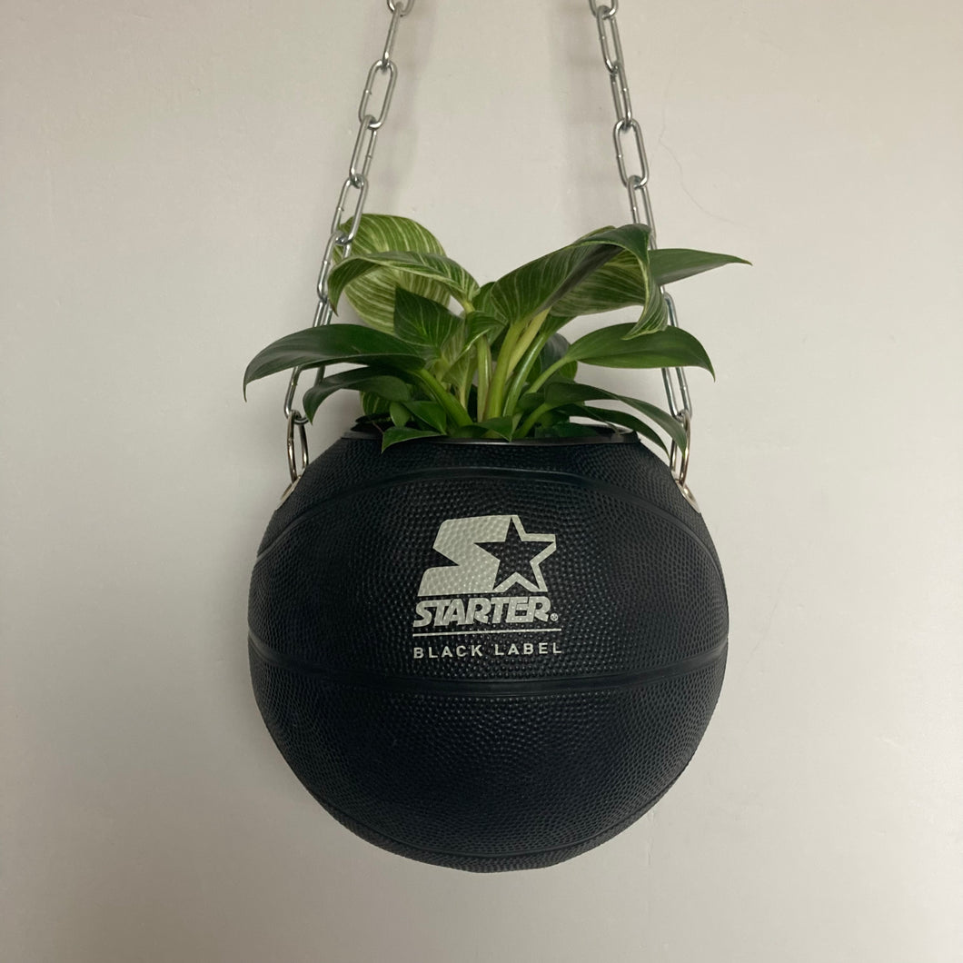 decoration-ballon-de-basket-noir-transforme-en-pot-de-fleur-starter-basketball-planter