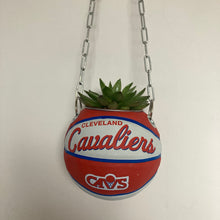 Charger l&#39;image dans la galerie, decoration-ballon-de-basket-transforme-en-pot-de-fleur-cavaliers-basketball-planter
