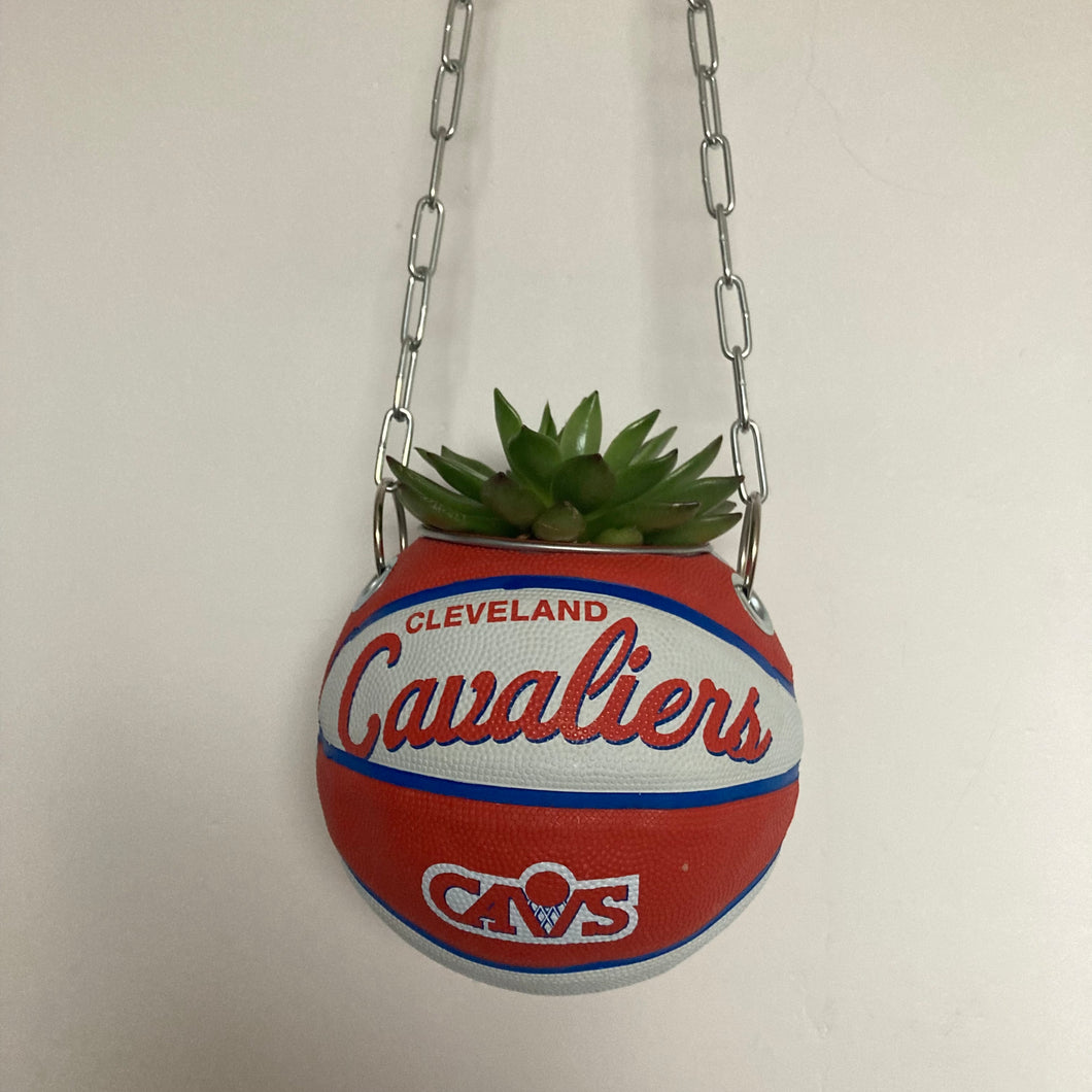 decoration-ballon-de-basket-transforme-en-pot-de-fleur-cavaliers-basketball-planter