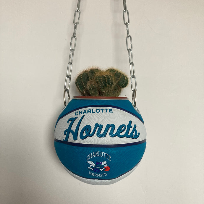 decoration-ballon-de-basket-transforme-en-pot-de-fleur-hornets