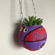 Charger l&#39;image dans la galerie, decoration-ballon-de-basket-transforme-en-pot-de-fleur-raptors-basketball-planter

