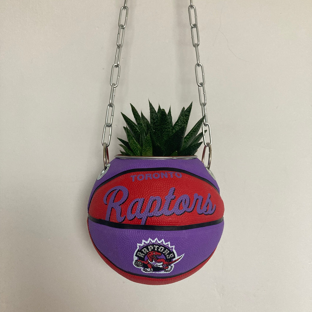 decoration-ballon-de-basket-transforme-en-pot-de-fleur-raptors-basketball-planter