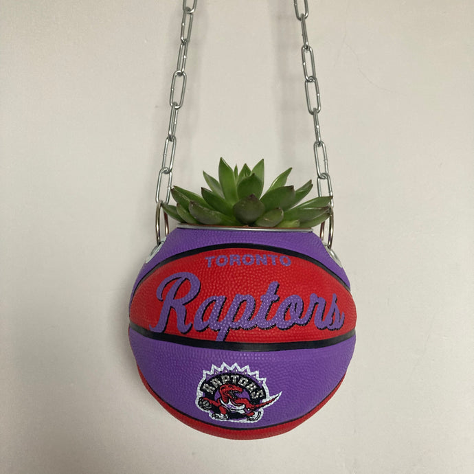 decoration-ballon-de-basket-transforme-en-pot-de-fleur-raptors-basketball-planter