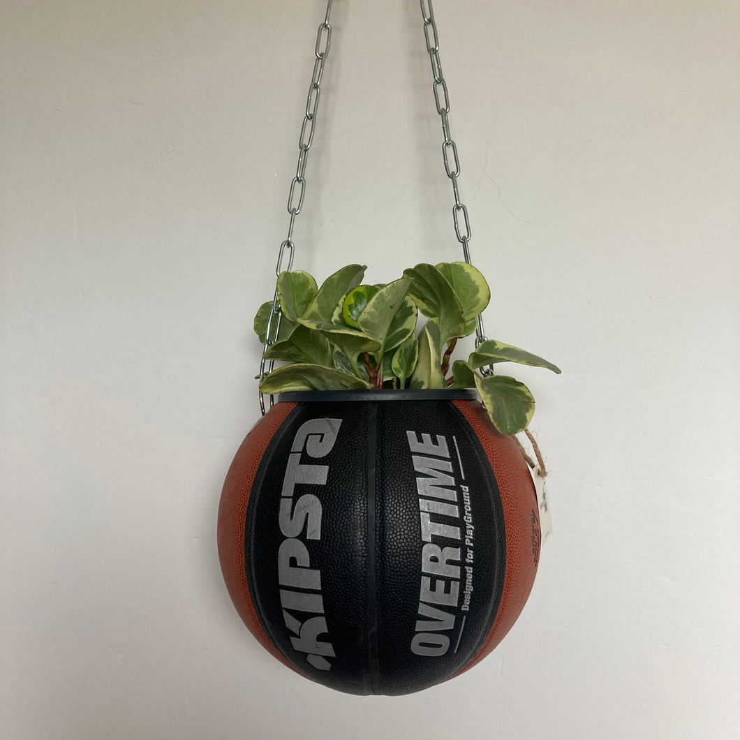    decoration-ballon-de-basket-transforme-en-pot-de-fleurs-basketball-planter