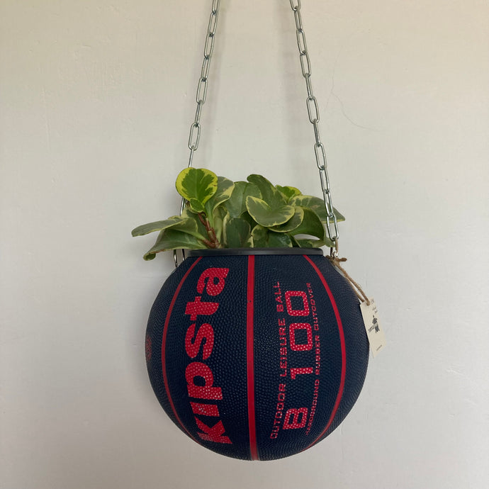 decoration-ballon-de-basket-transforme-en-pot-de-fleurs-basketball-planter