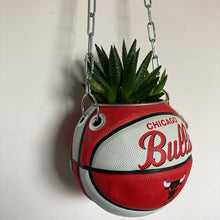 Charger l&#39;image dans la galerie, decoration-ballon-de-basket-transforme-en-pot-de-fleurs-chicago-bulls
