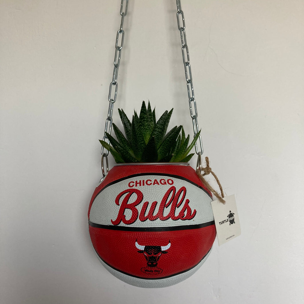 decoration-ballon-de-basket-transforme-en-pot-de-fleurs-chicago-bulls