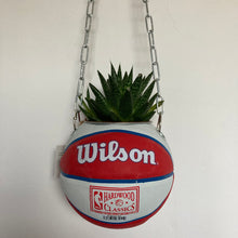 Charger l&#39;image dans la galerie, decoration-ballon-de-basket-transforme-en-pot-de-fleurs-detroit-pistons
