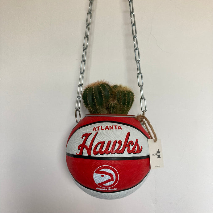    decoration-ballon-de-basket-transforme-en-pot-de-fleurs-hawks
