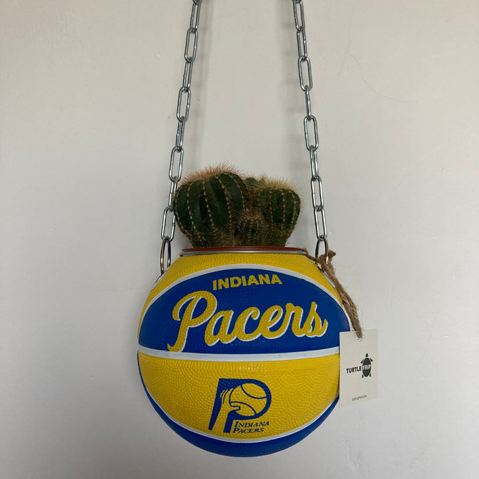 decoration-ballon-de-basket-transforme-en-pot-de-fleurs-indiana-pacers